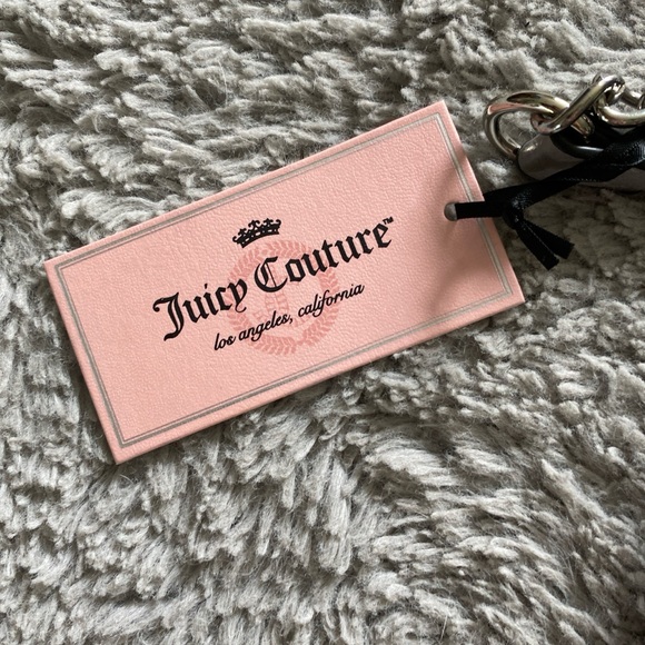 Grey and silver juicy couture bag with a removable wallet - Picture 2 of 6